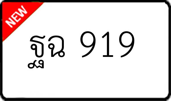 ฐฉ 919